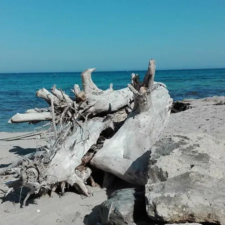 Io E Il Mare